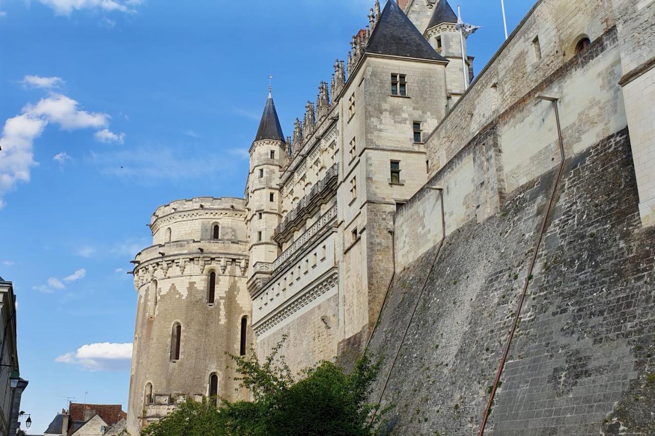 Splendid Apartment At The Foot Of The Castle Of Amboise - View Of The Loir Eksteriør bilde
