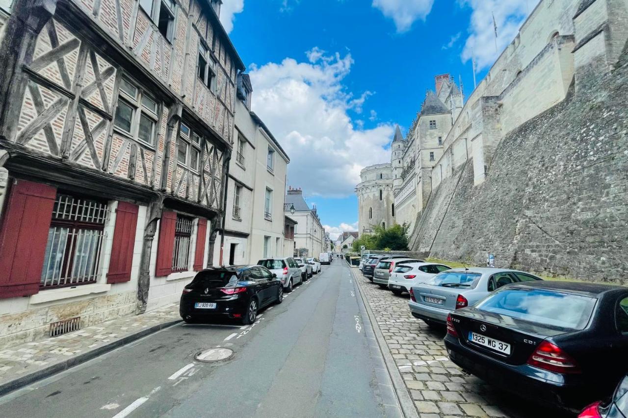Splendid Apartment At The Foot Of The Castle Of Amboise - View Of The Loir Eksteriør bilde