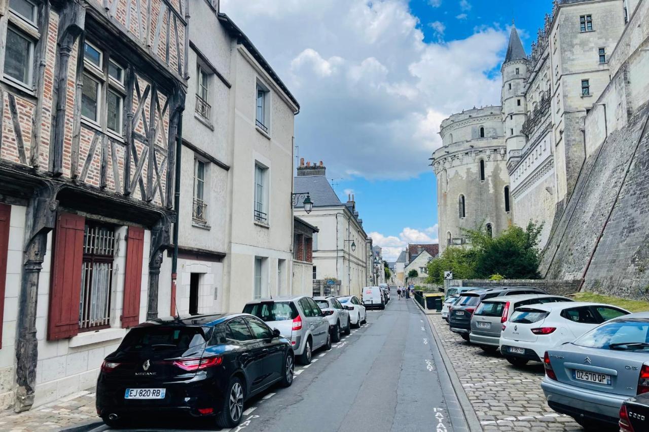 Splendid Apartment At The Foot Of The Castle Of Amboise - View Of The Loir Eksteriør bilde